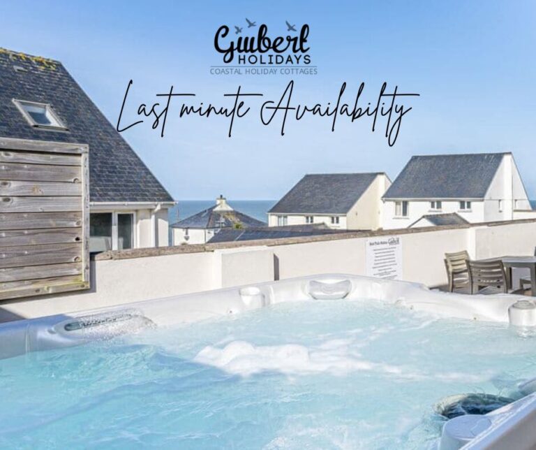 Last minute availability at Gwbert Holidays in West Wales